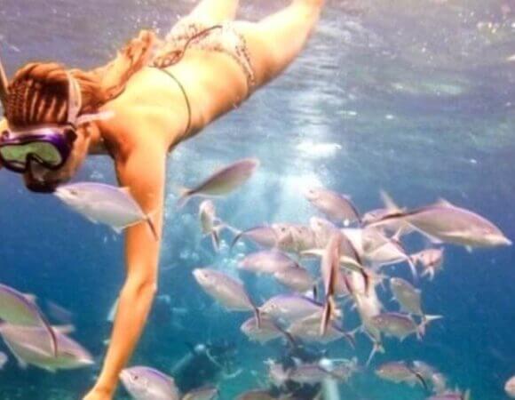 Catalina Island and Snorkeling
