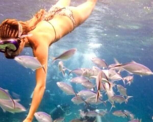 Catalina Island and Snorkeling | Unforgettable Tours & Transfers | Dominican Dream Vacation - Discover the Dominican Republic 2025