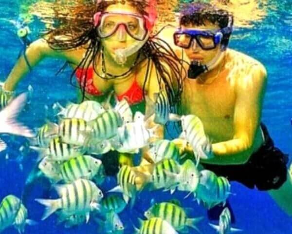 Unforgettable Tours & Transfers | Dominican Dream Vacation - Discover the Dominican Republic 2025