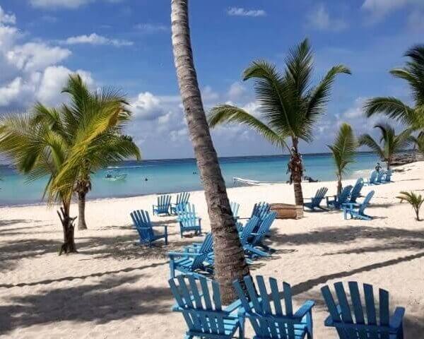 Unforgettable Tours & Transfers | Dominican Dream Vacation - Discover the Dominican Republic 2025