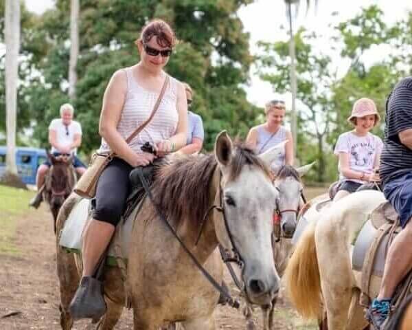 Unforgettable Tours & Transfers | Dominican Dream Vacation - Discover the Dominican Republic 2025