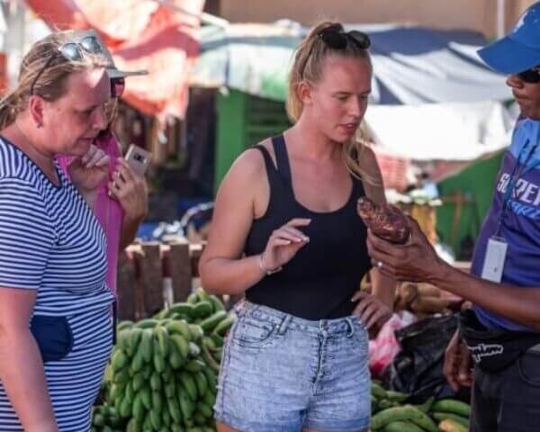 Unforgettable Tours & Transfers | Dominican Dream Vacation - Discover the Dominican Republic 2025