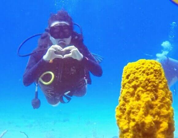 Scuba Diving at Catalina Island