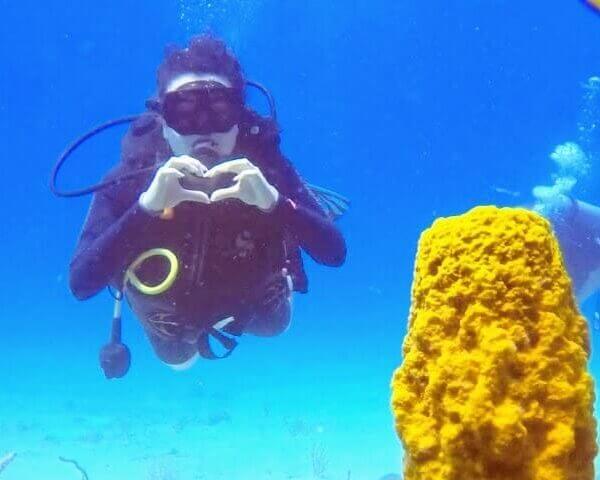 Unforgettable Tours & Transfers | Dominican Dream Vacation - Discover the Dominican Republic 2025