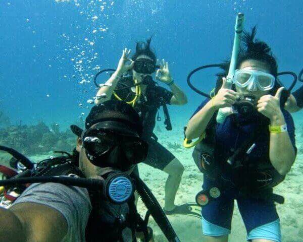 Unforgettable Tours & Transfers | Dominican Dream Vacation - Discover the Dominican Republic 2025