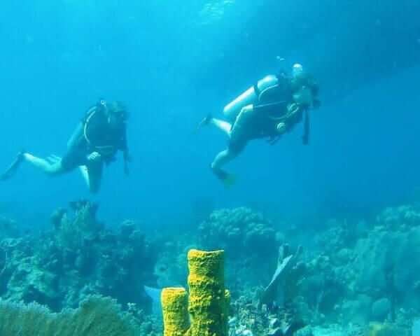 Unforgettable Tours & Transfers | Dominican Dream Vacation - Discover the Dominican Republic 2025