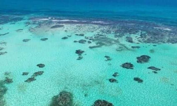 Unforgettable Tours & Transfers | Dominican Dream Vacation - Discover the Dominican Republic 2025
