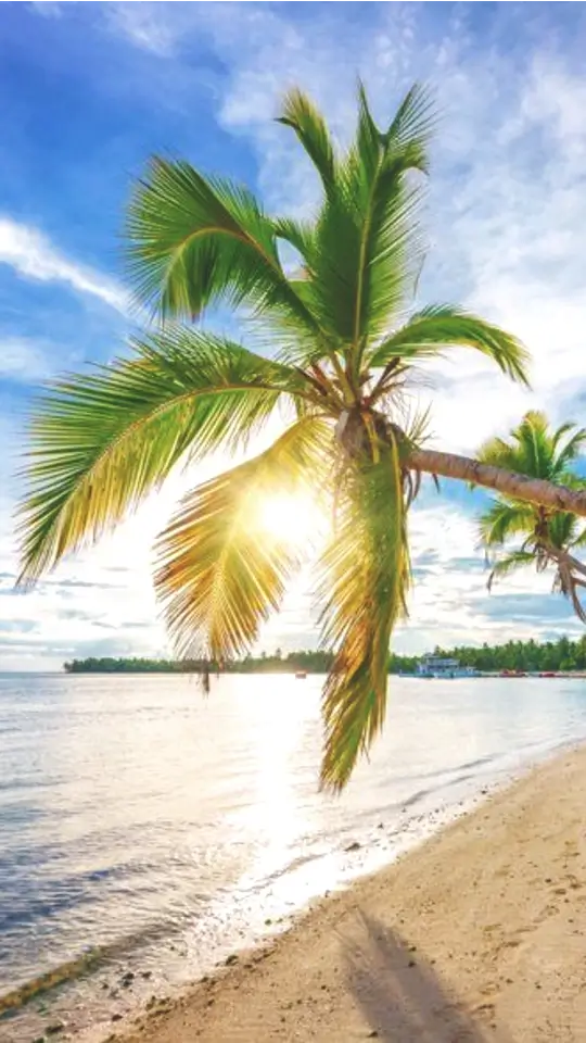 Punta Cana