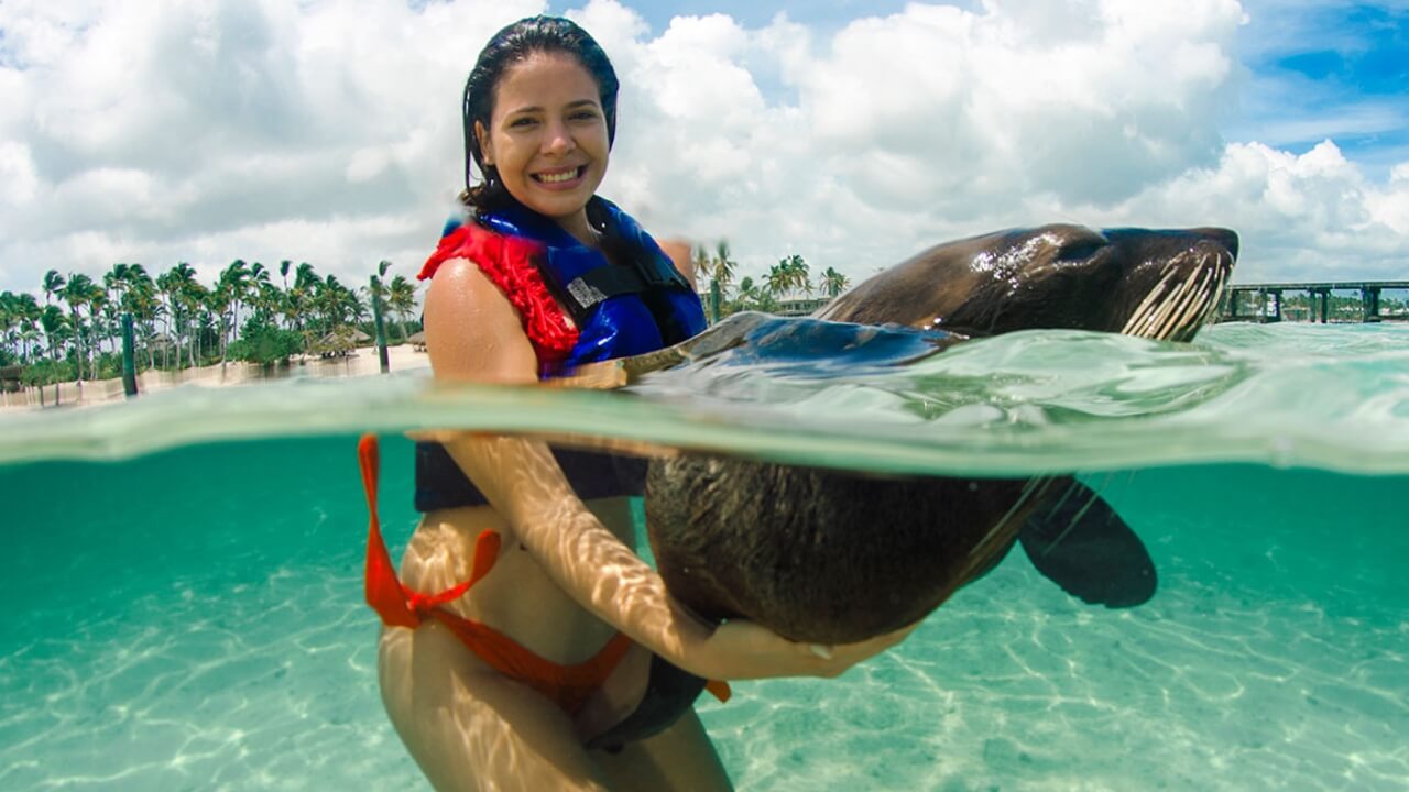 Best Full-day Tours and Adventures | Everest Tours Punta Cana