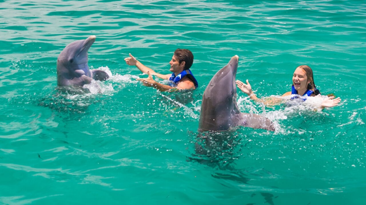 Best Full-day Tours and Adventures | Everest Tours Punta Cana