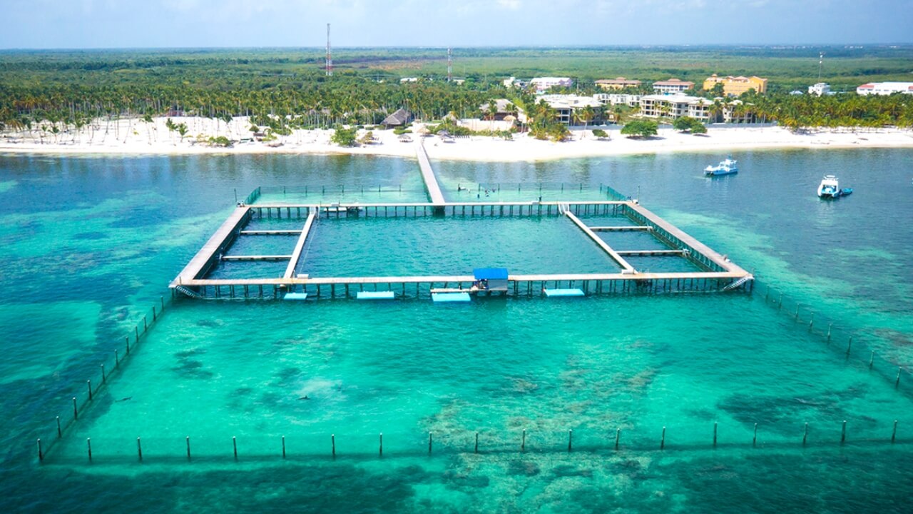 Best Full-day Tours and Adventures | Everest Tours Punta Cana