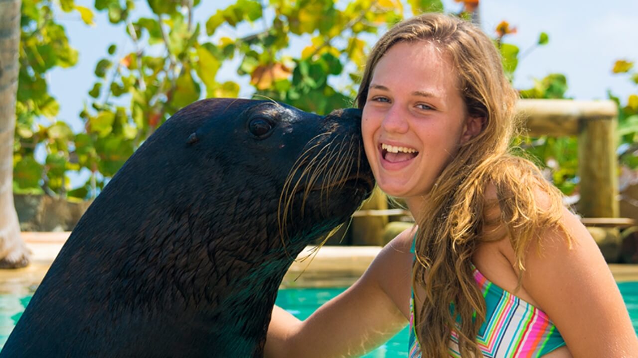 Best Full-day Tours and Adventures | Everest Tours Punta Cana