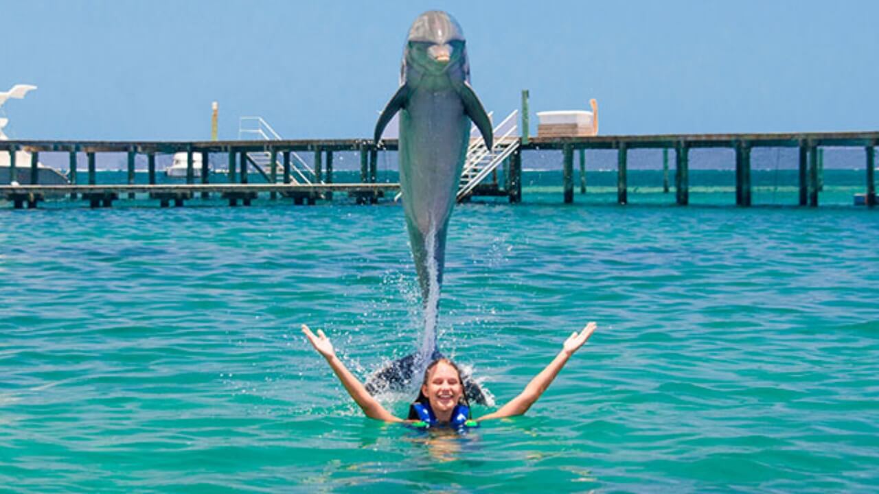 Best Full-day Tours and Adventures | Everest Tours Punta Cana