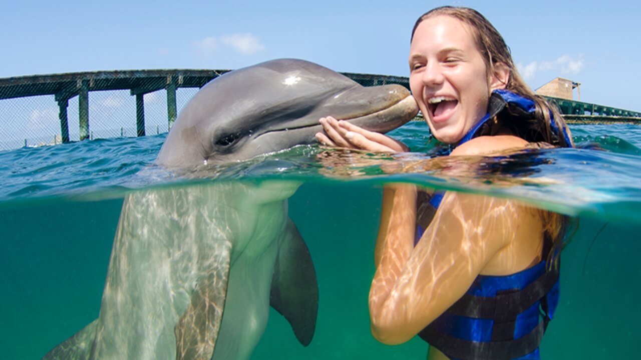 Best Full-day Tours and Adventures | Everest Tours Punta Cana