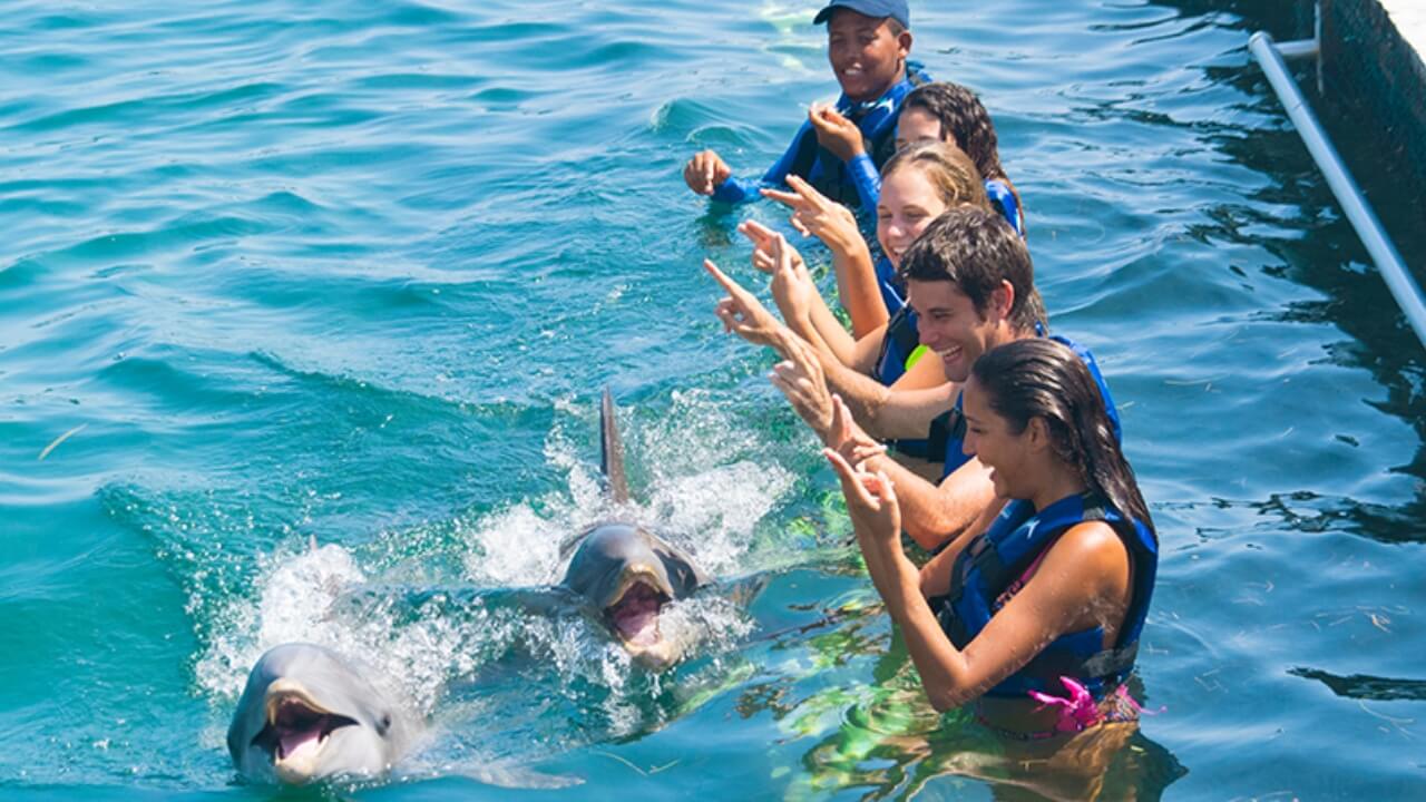 Best Full-day Tours and Adventures | Everest Tours Punta Cana