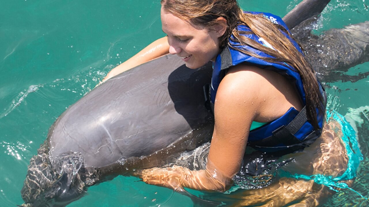 Best Full-day Tours and Adventures | Everest Tours Punta Cana