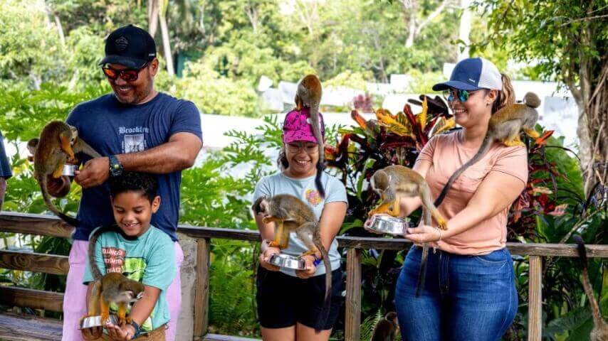 Best Full-day Tours and Adventures | Everest Tours Punta Cana