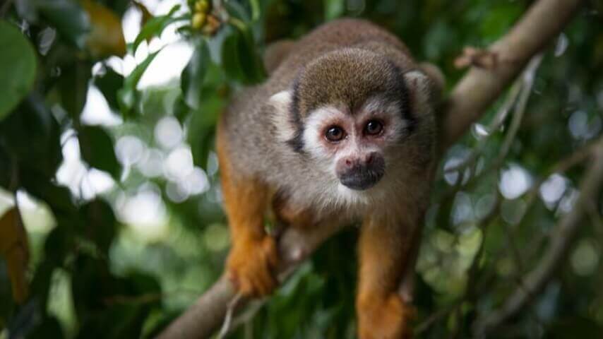 Best Full-day Tours and Adventures | Everest Tours Punta Cana