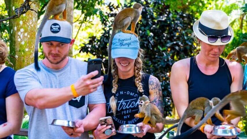 Best Full-day Tours and Adventures | Everest Tours Punta Cana