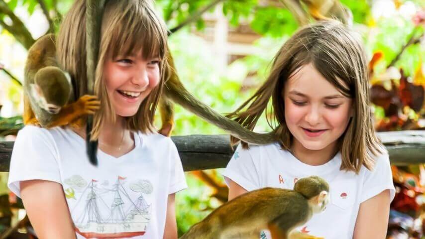 Best Full-day Tours and Adventures | Everest Tours Punta Cana