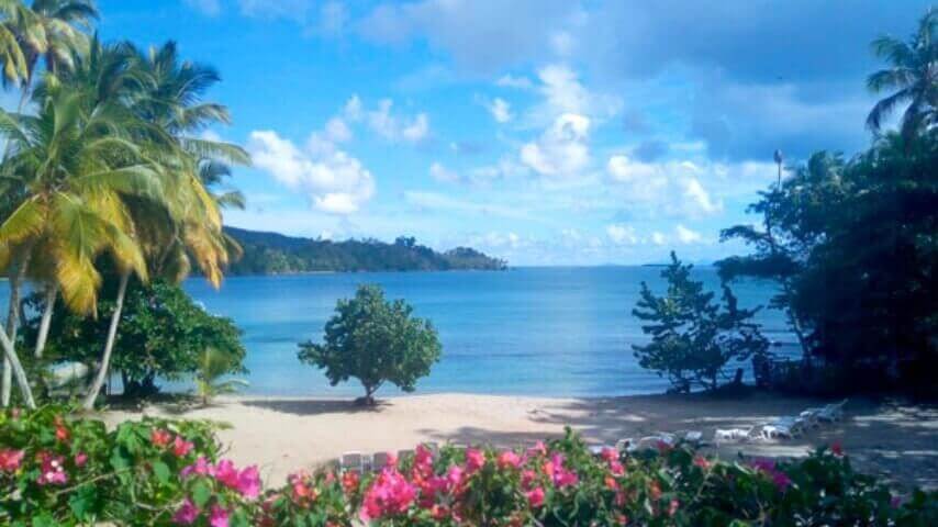 Best Full-day Tours and Adventures | Everest Tours Punta Cana