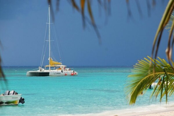Classic Saona