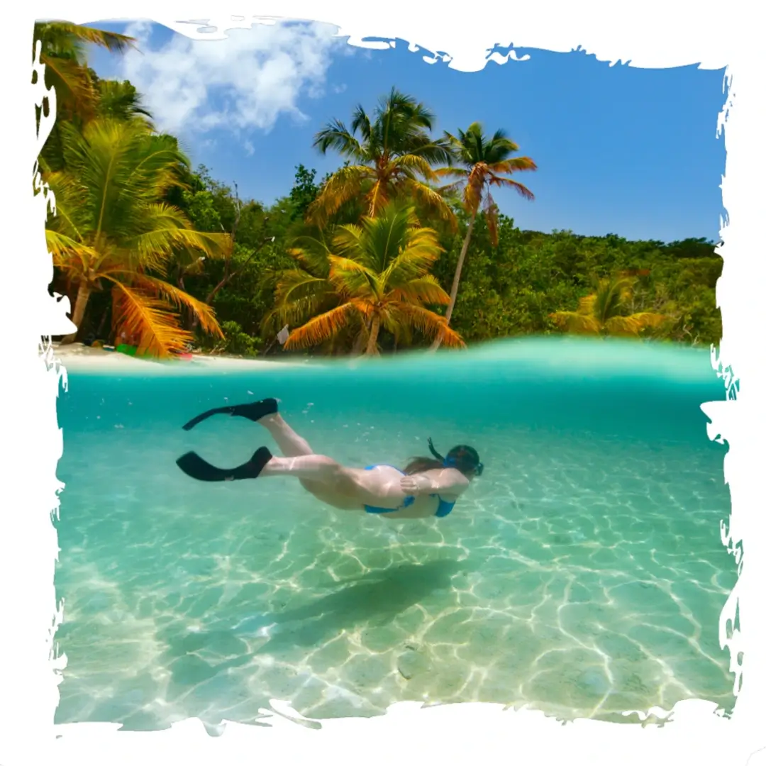 Unforgettable Tours and Transfers | Punta Cana Everest Tours 2025