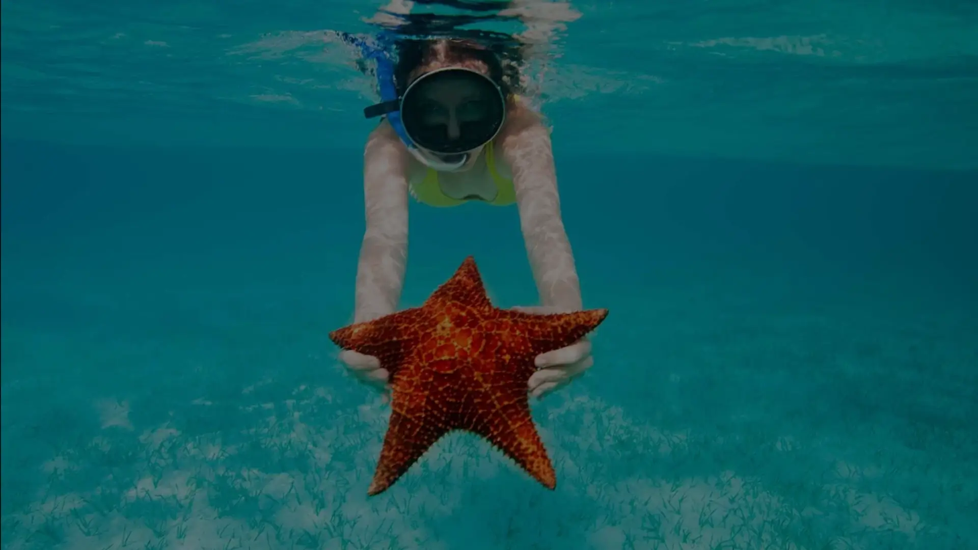 Unforgettable Tours and Transfers | Punta Cana Everest Tours 2025