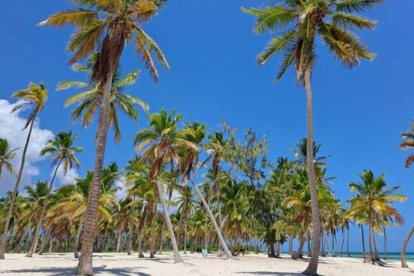 Saona 4 Beaches