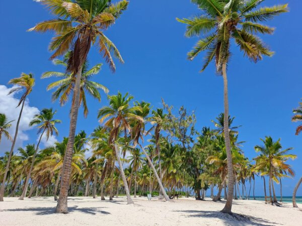 Saona 4 Beaches