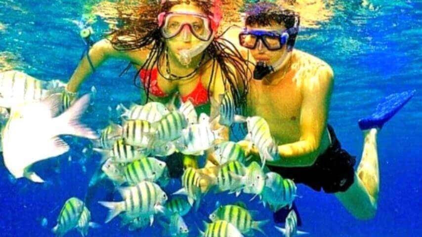 Best Full-day Tours and Adventures | Everest Tours Punta Cana