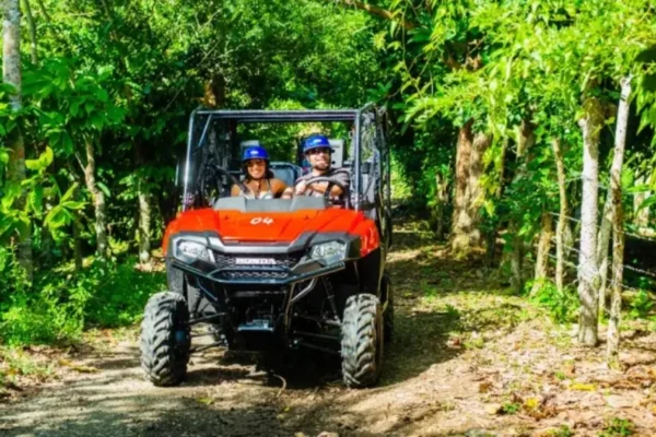 Triple Jungle Adventure