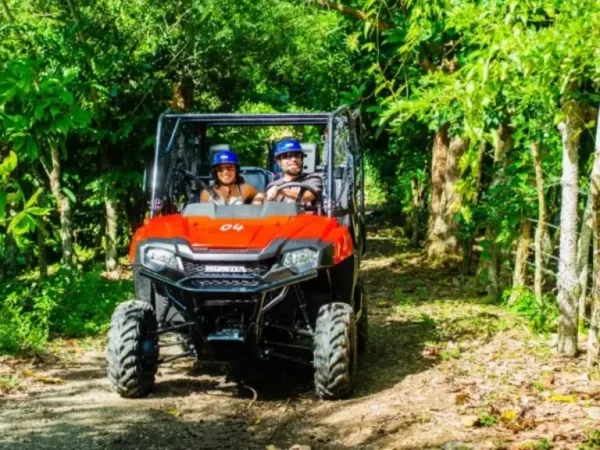 Triple Jungle Adventure