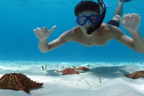 Catalina Island and Snorkeling