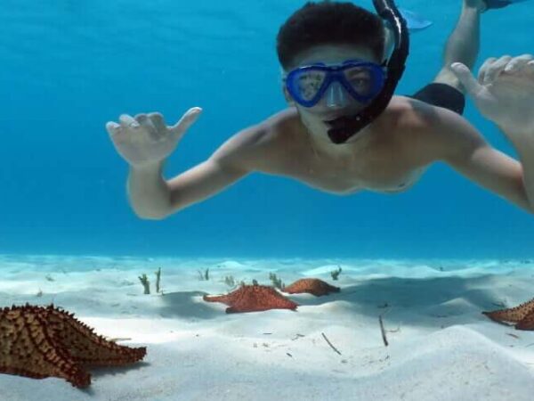 Catalina Island and Snorkeling