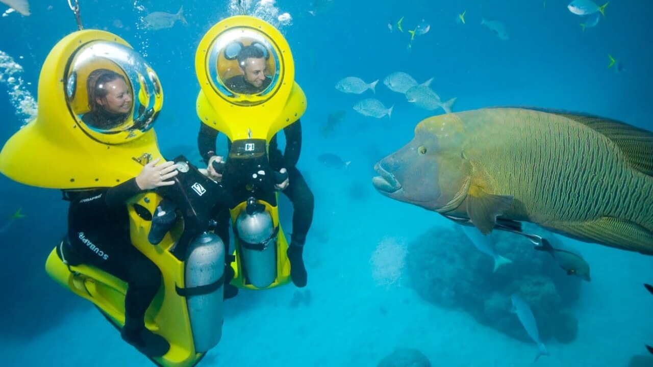 Best Full-day Tours and Adventures | Everest Tours Punta Cana