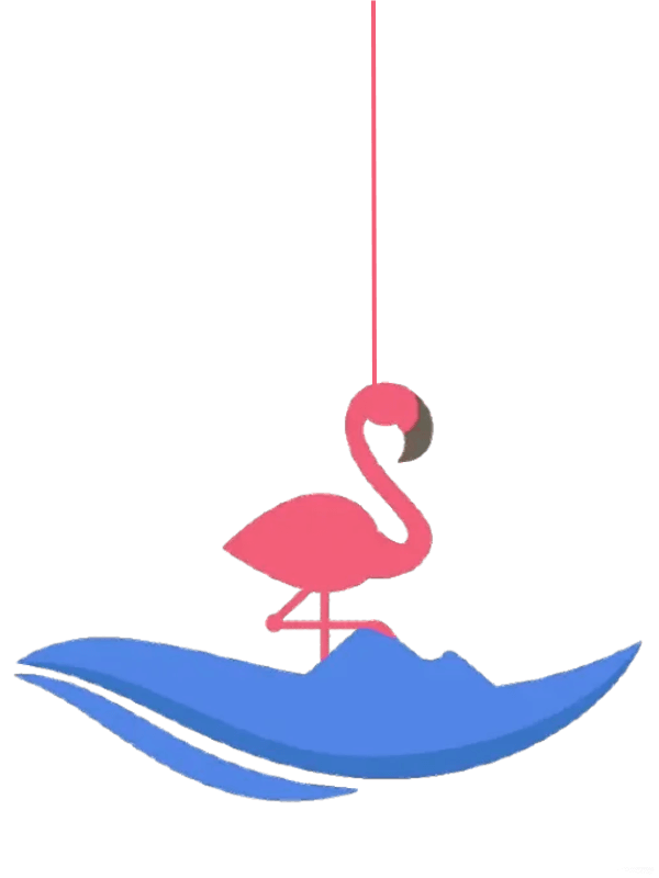 Best Full-day Tours and Adventures | Everest Tours Punta Cana